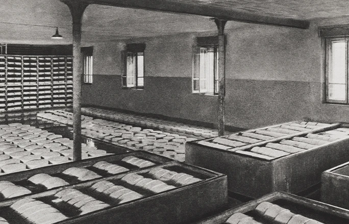 Photo of a cheese factory